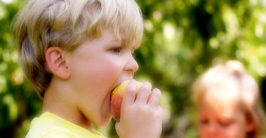 najzdravije namirnice