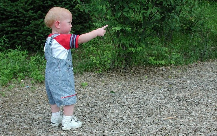 22659164_889eeaa987_o