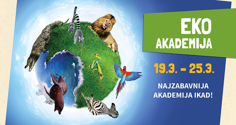 eko akademija