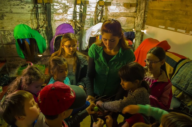 potraga za uskršnjim jajima