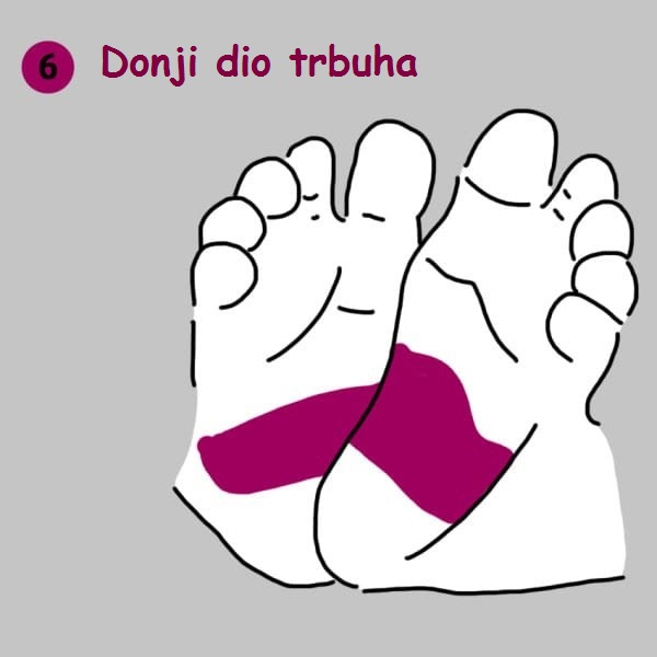 stopalo donji dio trbuha