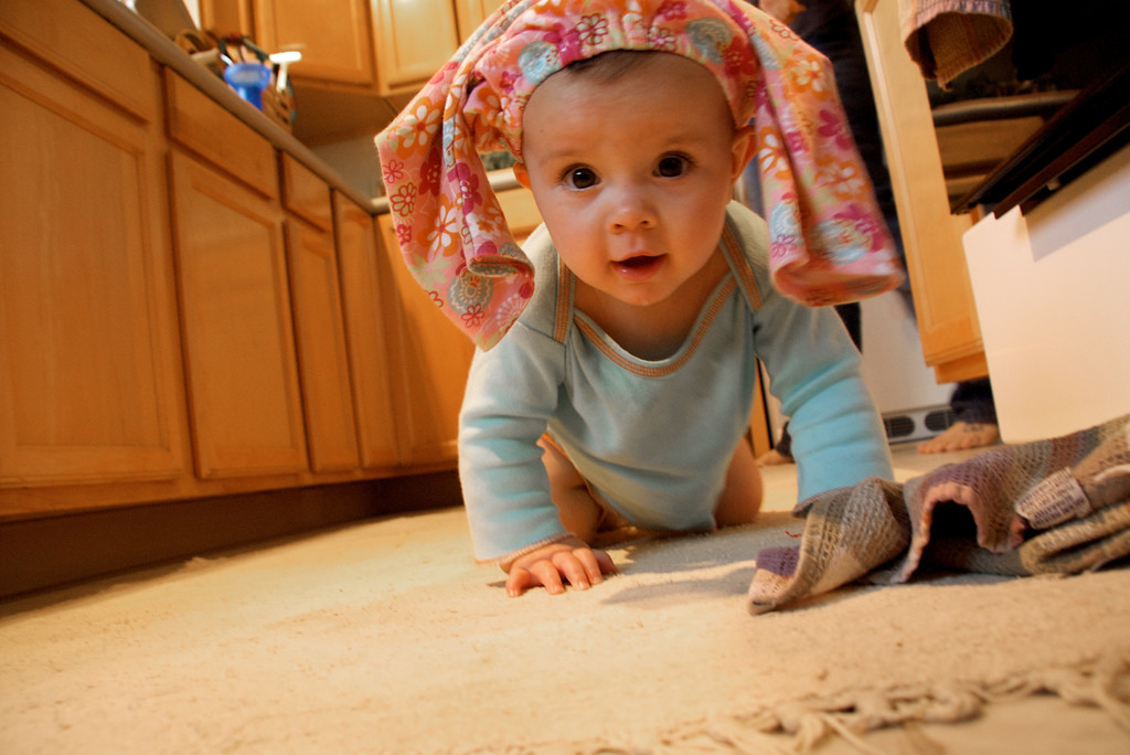 3492096171_8e60192e41_b