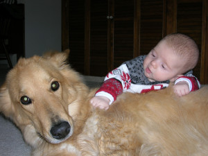 78040519_7094afab4b_b