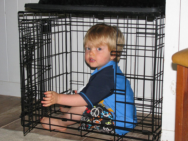 odgajanje dvogodišnjaka