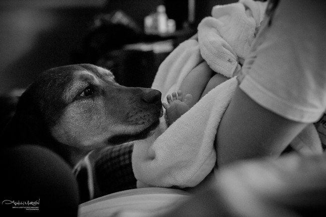 AshleyMarston2-650x433