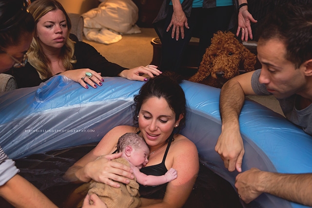 Robin-Baker_Birth-Blessings-Photography_Pets-at-Birth_3