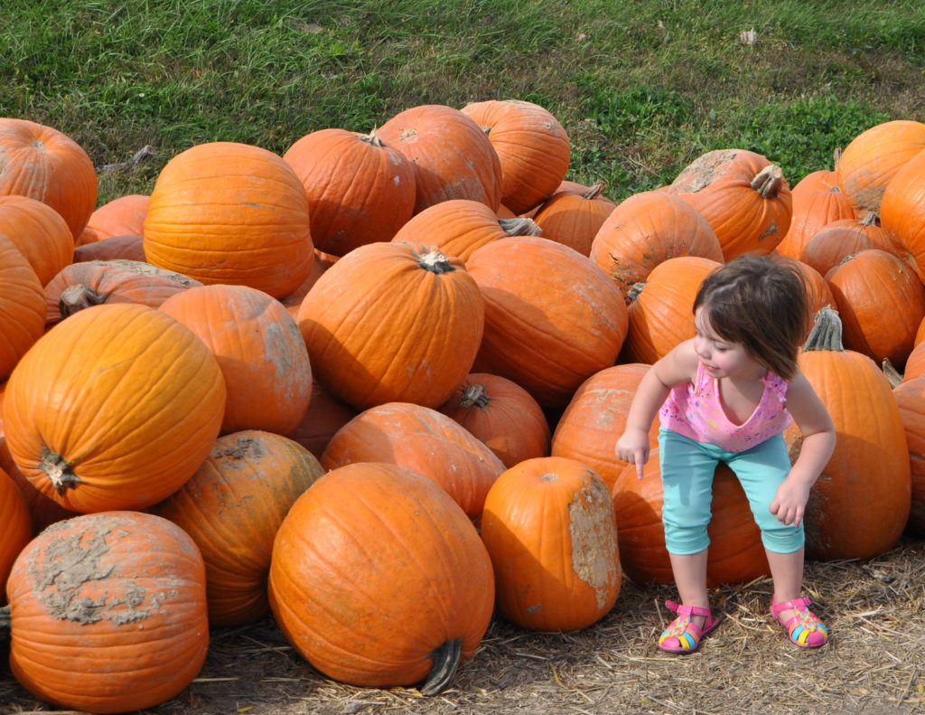 15646252802_bf0f9b5fbb_k