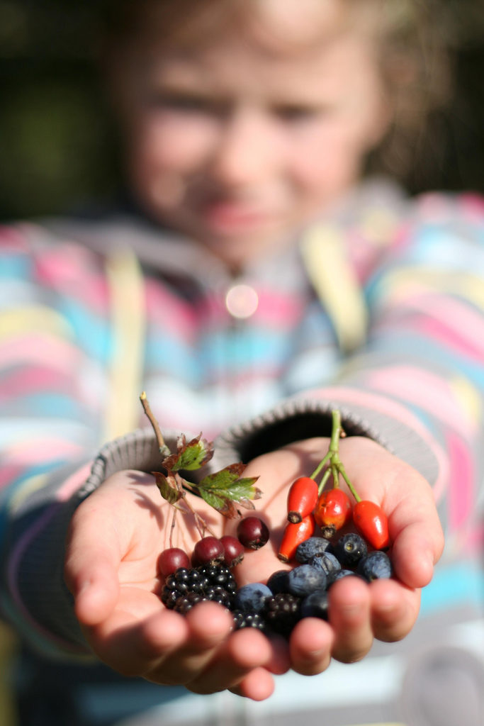 6247241702_89e6a617ce_b