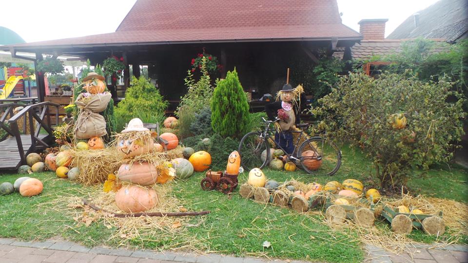 bucijada
