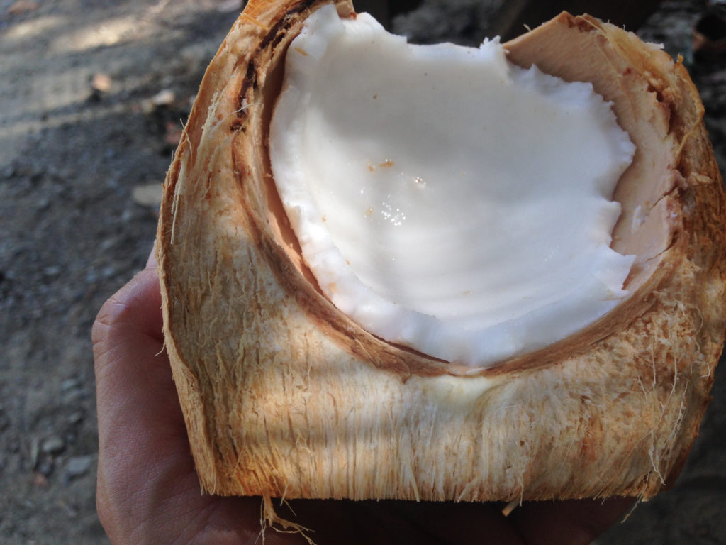 16451671719_7efd2ef982_k