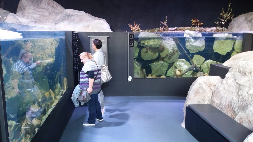 akvarij-u-karlovcu