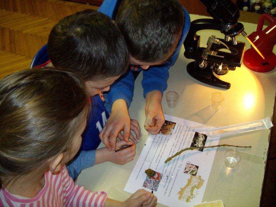 1479177_624750217591374_316810763_n