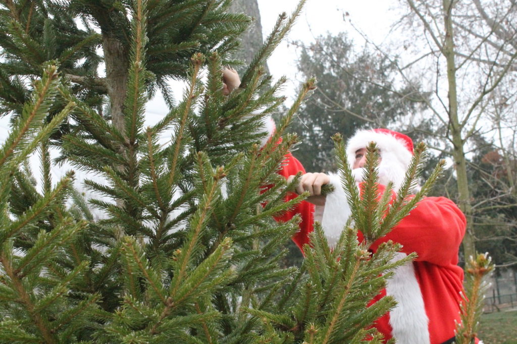 zimske nastambe za ptice