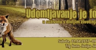 udomite