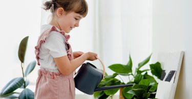 otrovne sobne biljke opasne za djecu