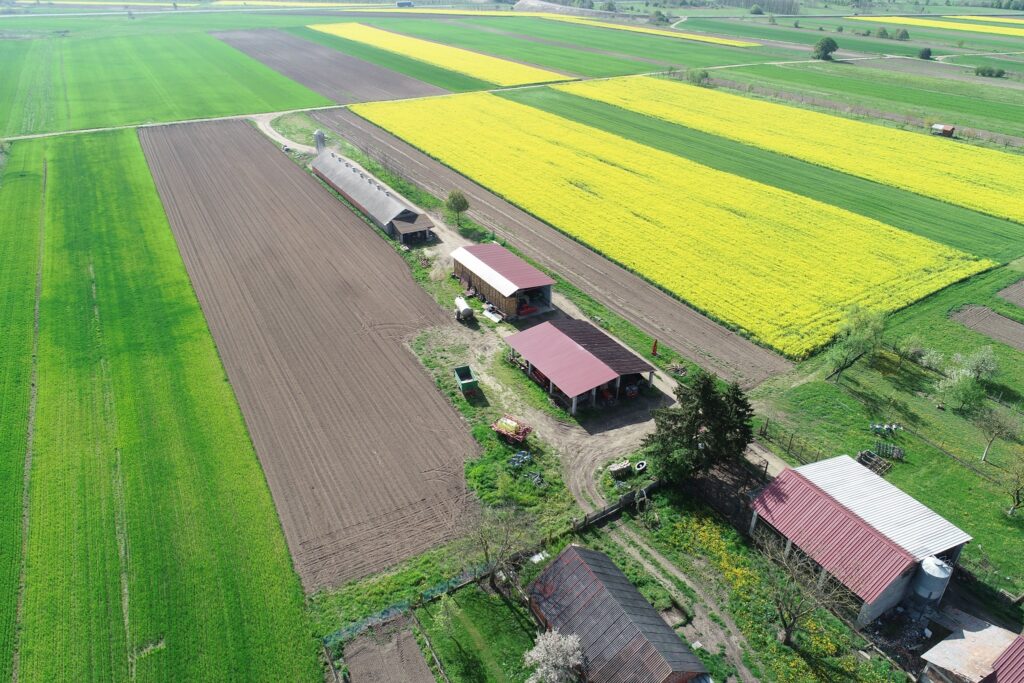 mala subotica
